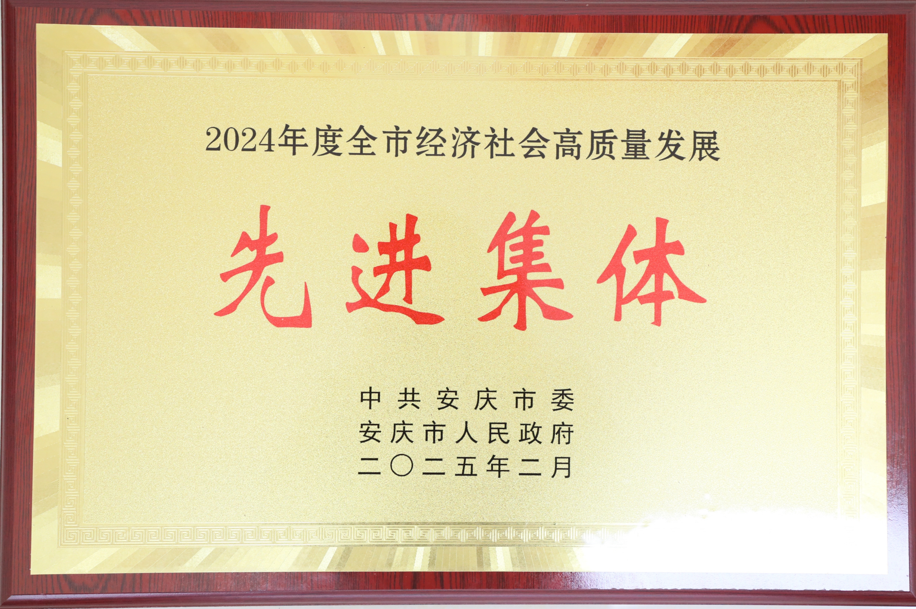 安慶市經(jīng)濟社會高質量發(fā)展先進集體.jpg